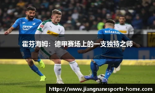 霍芬海姆：德甲赛场上的一支独特之师